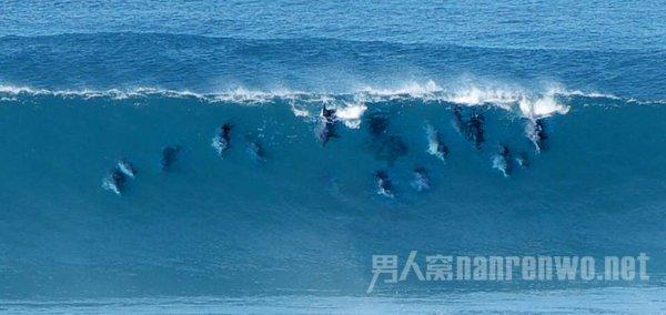 呼和浩特联通营业厅营业了吗?- 专业的有问必答平台